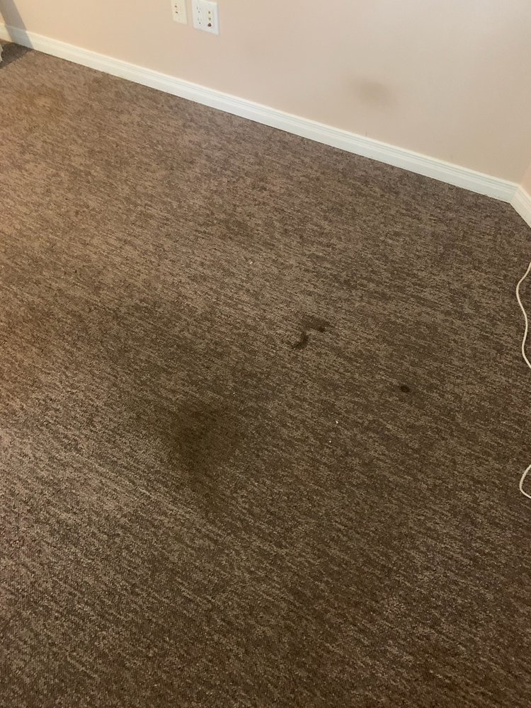 CARDINAL CLEANERS Updated September 2024 11 Photos Richmond Hill