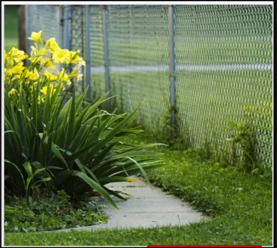 GARYS FENCING AND WIRE SUPPLIES Updated June 2024 4718 Hammett Rd