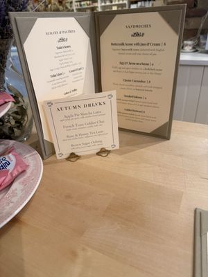 Kitten and the Bear by null