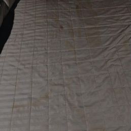 So glad I checked the bedding. Made us both sick to see this.