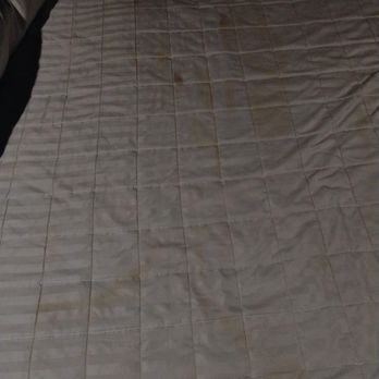 Hotel Huntington - So glad I checked the bedding. Made us both sick to see this. - Hotels Near Me - Duarte, California