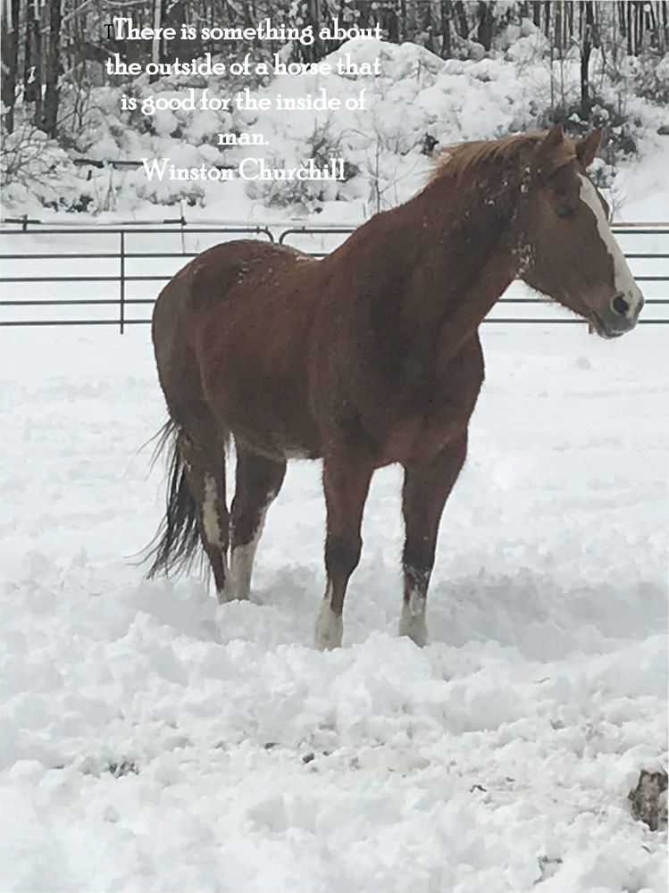 Mustang Valley Ranch - equestrian in West Fulton, NY