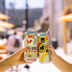 The Valley - Love Nova Kombucha!