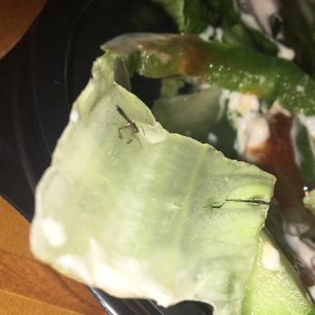 Epic Wings - Buffalo chicken salad with bugs in it. So gross - Chicken Wings Near Me - San Diego, California Epic Wings - Buffalo chicken salad with bugs in it. So gross - Chicken Wings Near Me - San Diego, California