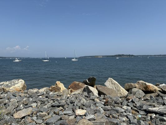 Bug Light Park by null