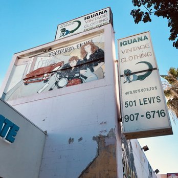 iguana thrift store