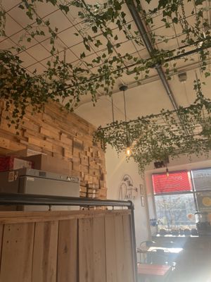 More Than Pasta by null