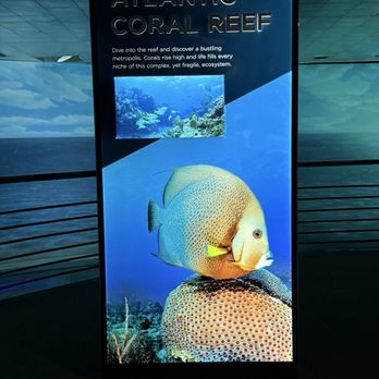 National Aquarium - Aquariums Near Me - Baltimore, Maryland National Aquarium - Aquariums Near Me - Baltimore, Maryland
