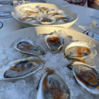 Casa Bianca - Oysters - Wine Bars Near Me - Austin, Texas