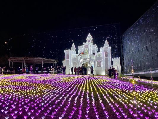 Ashikaga Flower Park by null