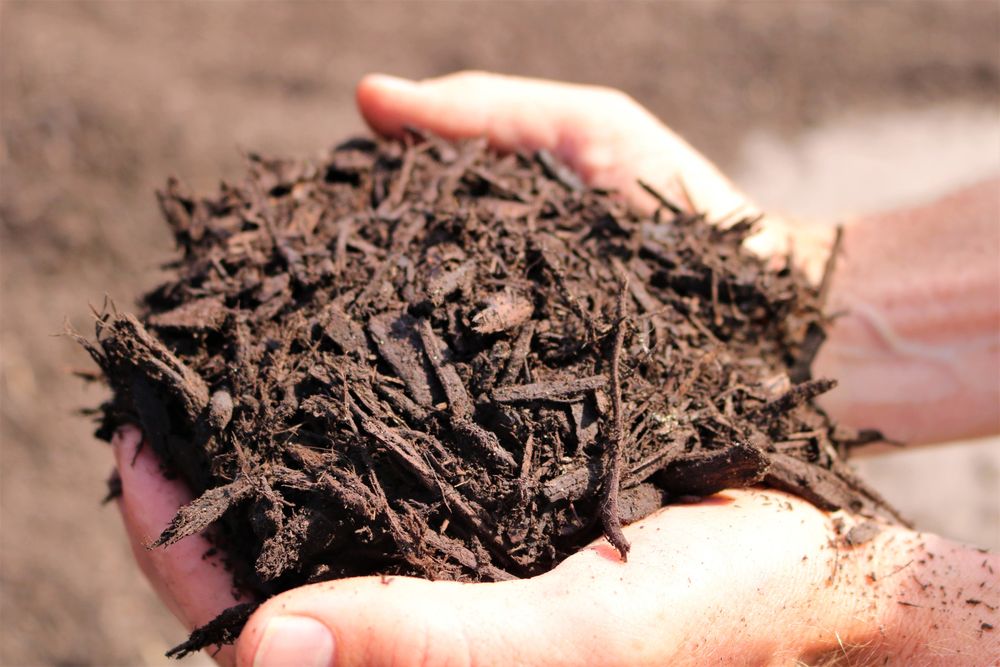 Jensen Gardens - tree service in Springfield, NE