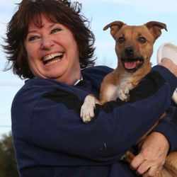 Top Dog Obedience Training - TopDogPam We offer Puppy Classes, Beginner Adult, Advance Obed, Conformation/show dogs classes