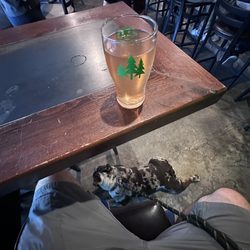 North 47 Brewing Company - My seltzer and my dog