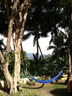 Ceiba Country Inn Bed & Breakfast by null