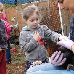 Montessori At Sawyer's Glen