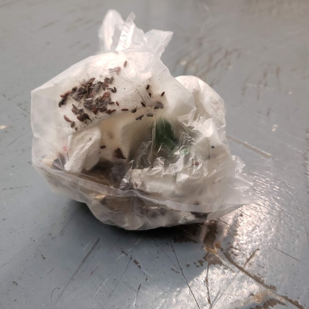 Self Storage at Telegraph - Rodent droppings - Self Storage Near Me - Oakland, California Self Storage at Telegraph - Rodent droppings - Self Storage Near Me - Oakland, California
