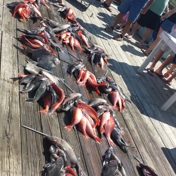 Amick's Deep Sea Fishing - Our boats haul for the day - Fishing Near Me - Tybee Island, Georgia Amick's Deep Sea Fishing - Our boats haul for the day - Fishing Near Me - Tybee Island, Georgia
