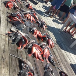 Amick's Deep Sea Fishing - Our boats haul for the day