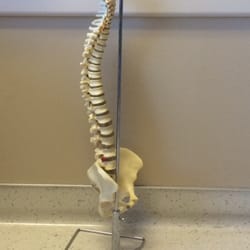 Smith David James, MD - Yeah, it's kinda creepy but they use it to explain why my spine is a mess. I call him Charlie.