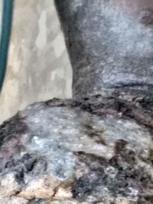 HCA Houston Healthcare Pearland by null