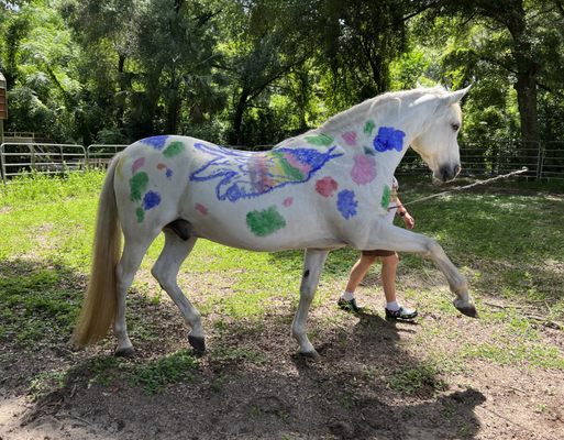Carriage Gate Morgans