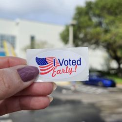 Broward County Libraries - South Regional/BC Library - Voting!