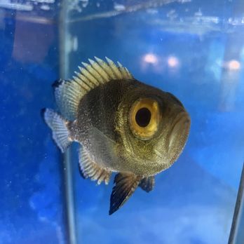 Biomes - Aquariums Near Me - North Kingstown, Rhode Island