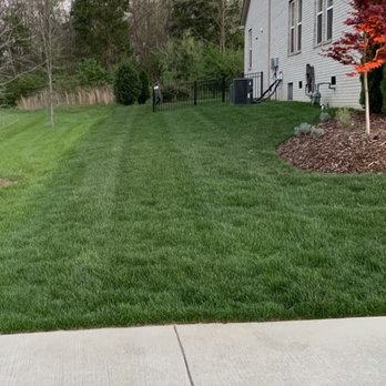 LawnWise - LawnWise lawn on the right - Lawn Services Near Me - Franklin, Tennessee