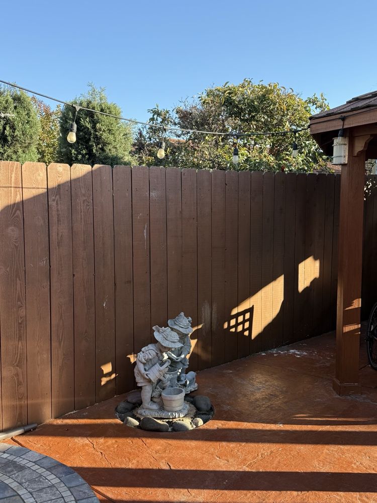 Moreno Tree Service - tree service in Hayward, CA