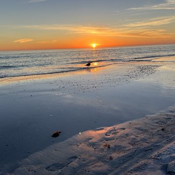 Siesta Key Beach Resort and Suites - Walking distance to Sunsets - Resorts Near Me - Siesta Key, Florida Siesta Key Beach Resort and Suites - Walking distance to Sunsets - Resorts Near Me - Siesta Key, Florida