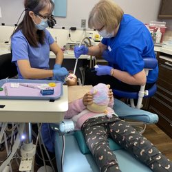 Twin Sheep Dentistry