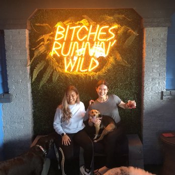 Pups Pub - Dog Parks Near Me - Tampa, Florida Pups Pub - Dog Parks Near Me - Tampa, Florida