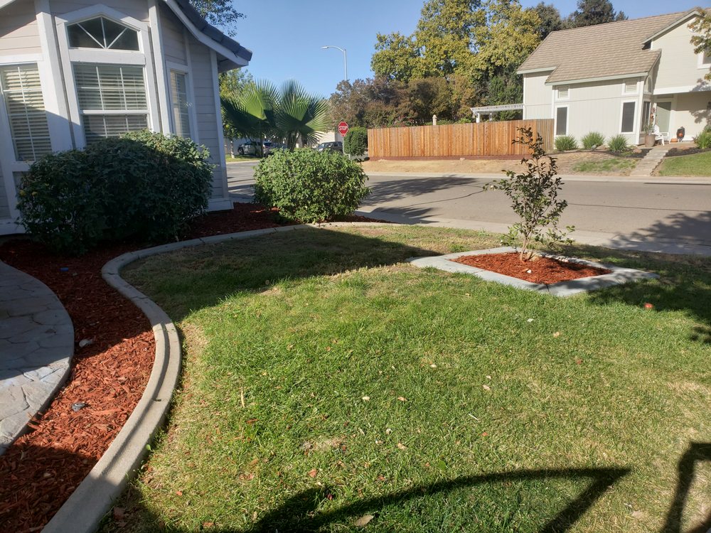 Kwanza Tree Care - tree service in Sacramento, CA
