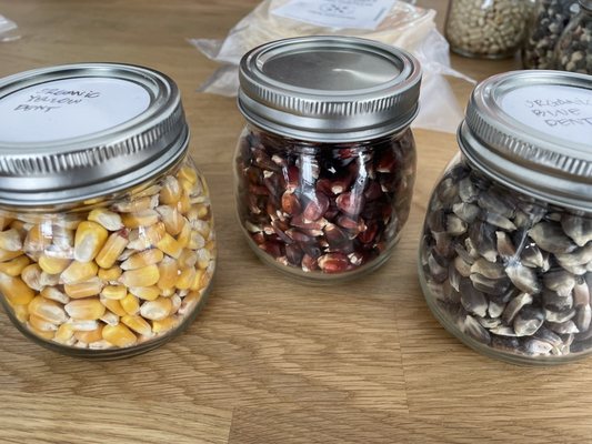 Milpa Masa Company by null