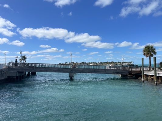 Key West Aquarium by null