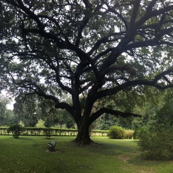 Natchez National Historical Park - Parks Near Me - Natchez, Mississippi