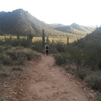 McDowell Sonoran Preserve - On the Gateway Loop trail - Hiking Near Me - Scottsdale, Arizona