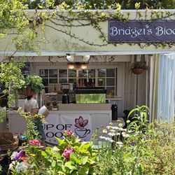Cup of Bloom - Partial view of the kiosk