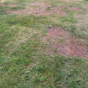 Turf Fashions - Landscaping Near Me - Asheboro, North Carolina