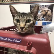 LAS TUNAS ANIMAL HOSPITAL - 15 Photos &amp; 49 Reviews - 108 Las Tunas Dr