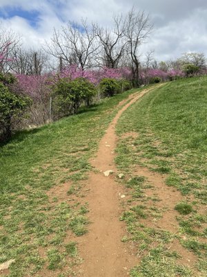 Sky Meadows State Park by null