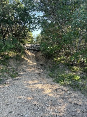 Mary Moore Searight Metropolitan Park by null