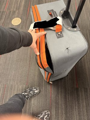 Southwest Airlines by null