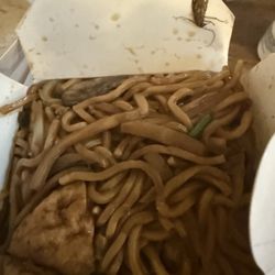 New China - Lo-mein with a cockroach