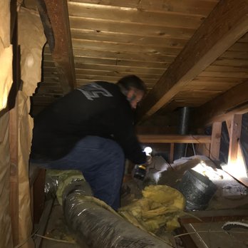 VEO Termite Management  - Discovering Drywood termites and assessing the damage - Pest Control Near Me