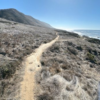 Harmony Headlands State Park - Parks Near Me - Cayucos, California