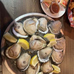 Oysters