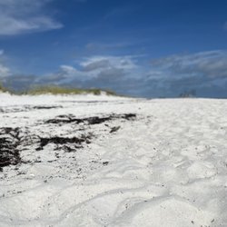 Grand-Mére - Shell Island & Dolphin Cruises