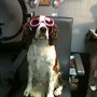 Photo of Medical Center Opticians