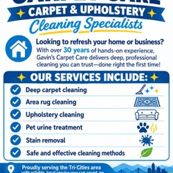 Gavin's Carpet Care